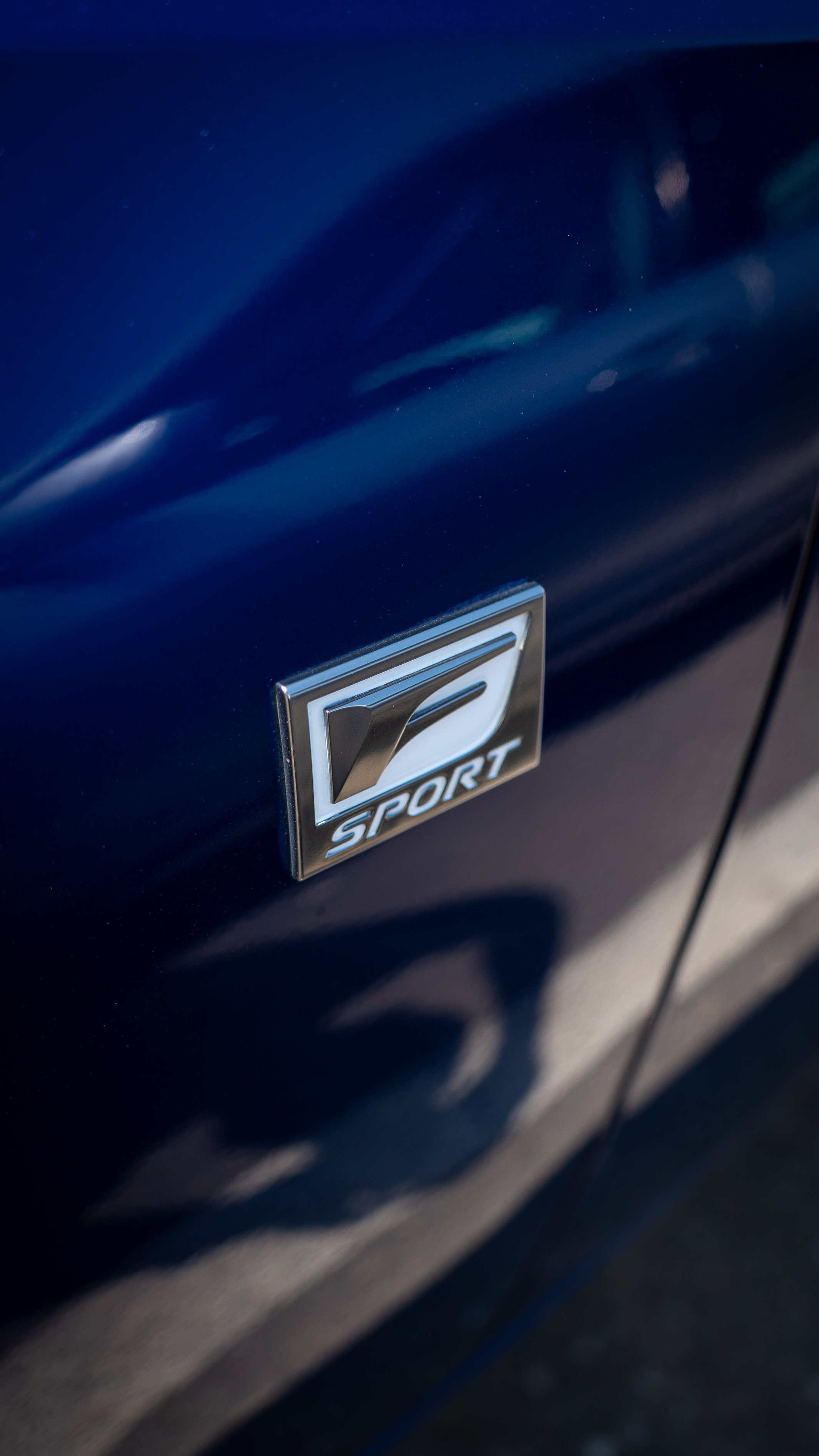 Fotografie din colectia personala 23